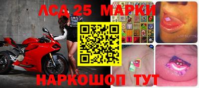 мяу мяу мука Малоярославец