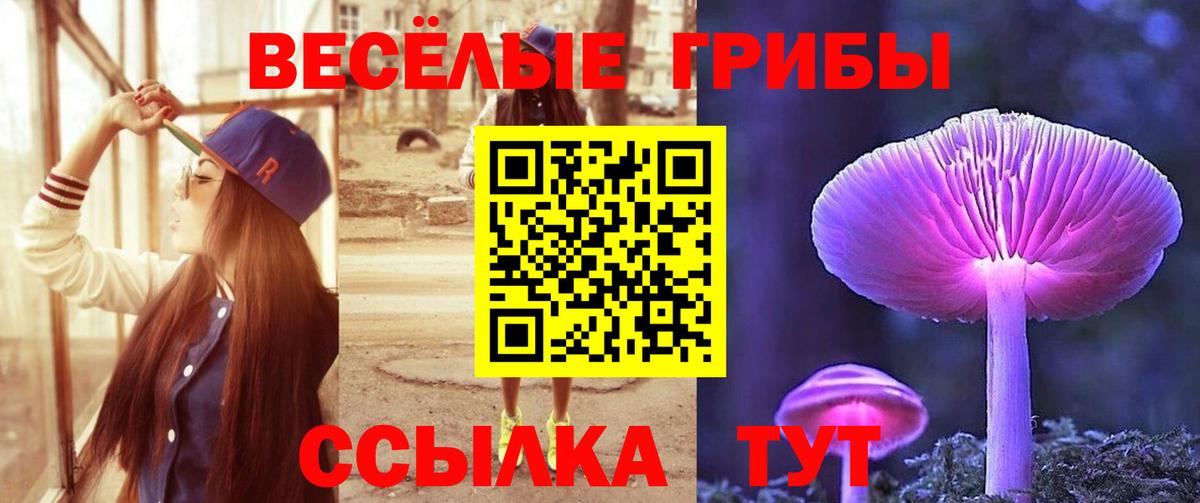 купить закладку  Вход с VPN  Чайковский  Псилоцибиновые грибы Psilocybe  Псилоцибиновые грибы прущие грибы 